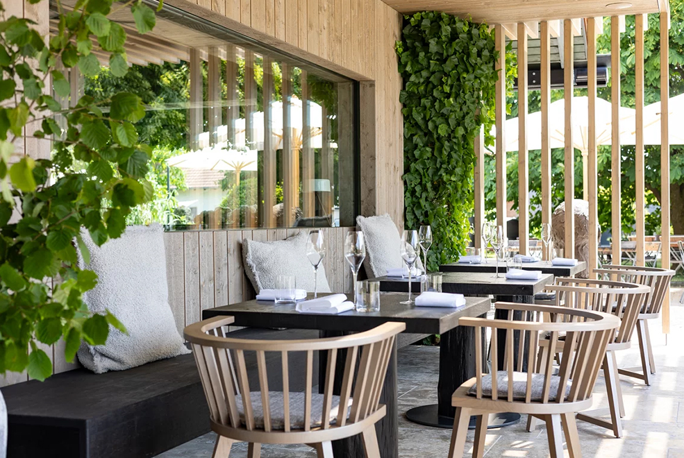 Gray 25 Dining Chair Gervasoni