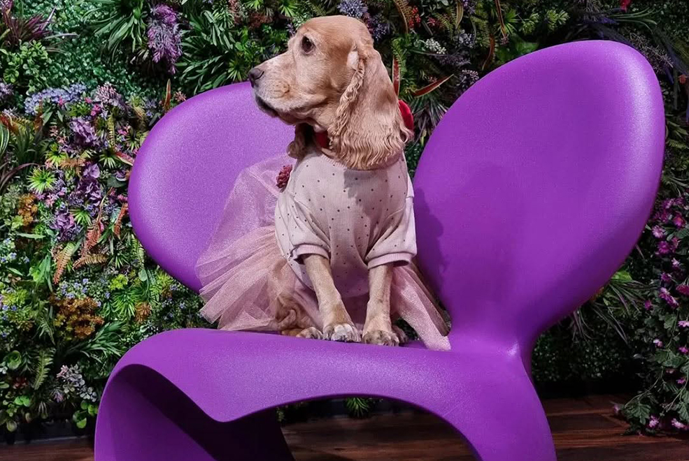 Don’t Fk with the Mouse Coffee Table gallery